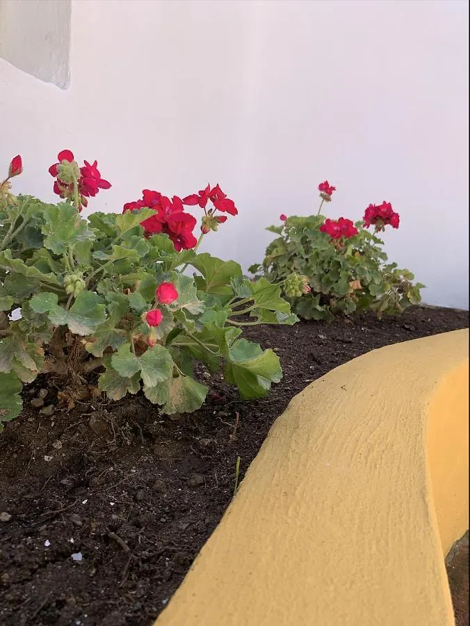 Appartamento Encantador Apartamento-Céntrico-con Amplio Jardín Torremolinos
